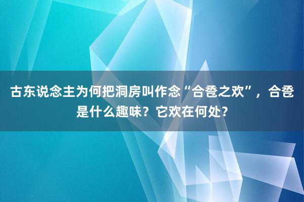 古东说念主为何把洞房叫作念“合卺之欢”，合卺是什么趣味？它欢在何处？