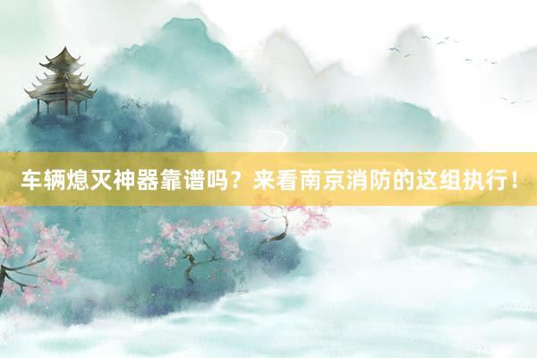 车辆熄灭神器靠谱吗？来看南京消防的这组执行！