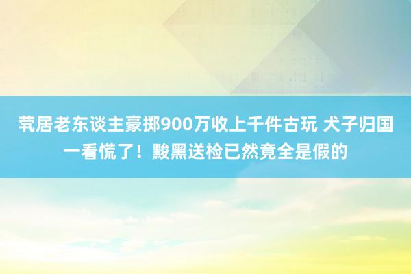 茕居老东谈主豪掷900万收上千件古玩 犬子归国一看慌了！黢黑送检已然竟全是假的