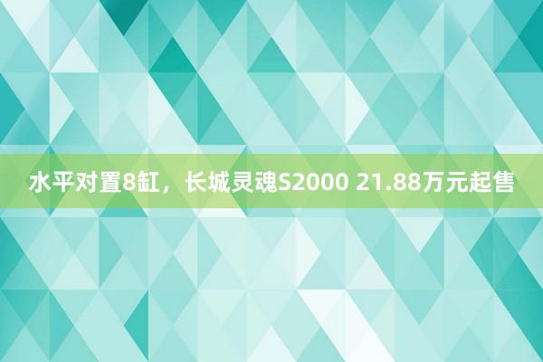 水平对置8缸，长城灵魂S2000 21.88万元起售