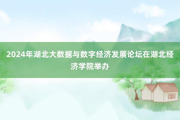 2024年湖北大数据与数字经济发展论坛在湖北经济学院举办